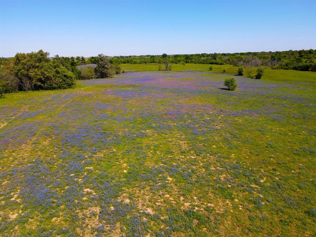 TBD 119 Fm 1227, Navasota, Texas image 18
