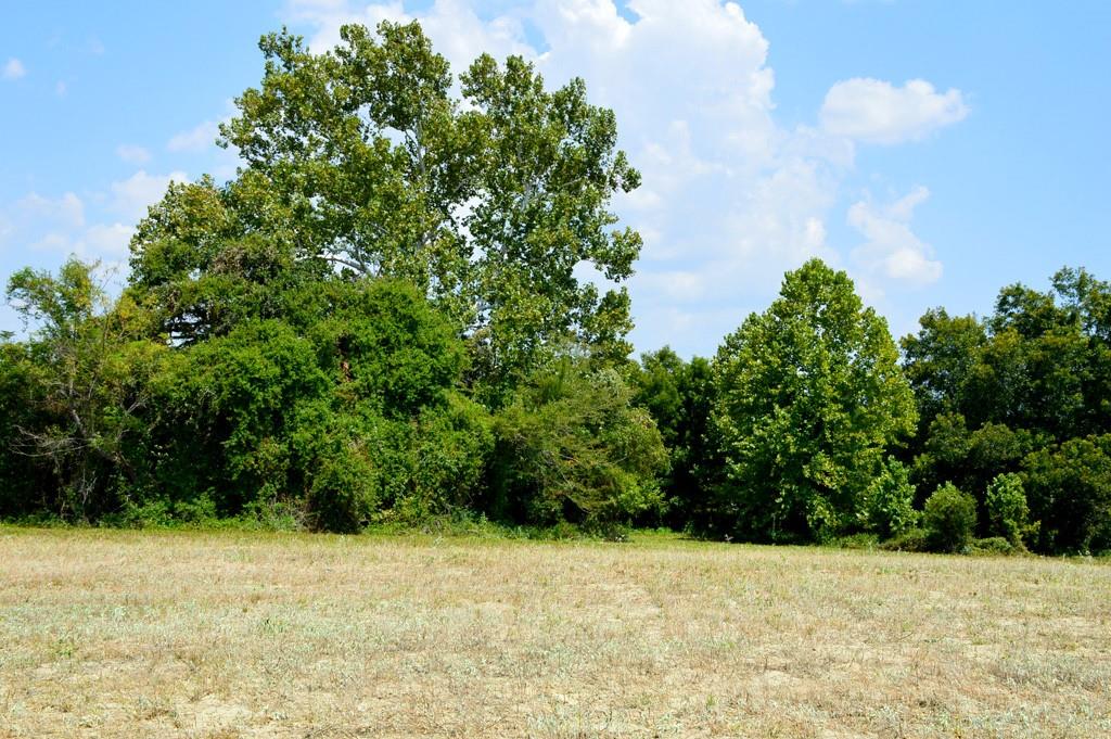 TBD 119 Fm 1227, Navasota, Texas image 11