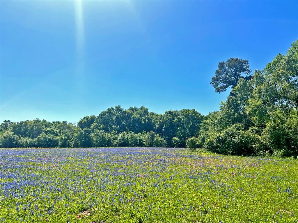TBD 119 Fm 1227, Navasota, Texas image 26