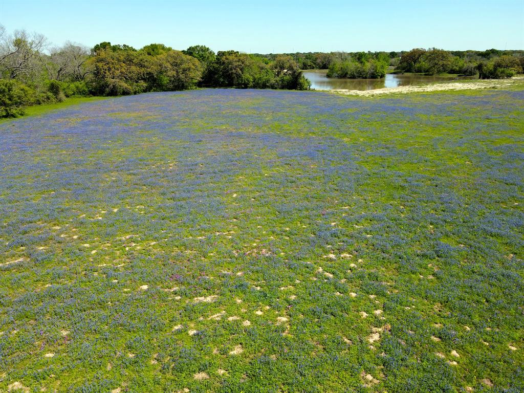 TBD 119 Fm 1227, Navasota, Texas image 14