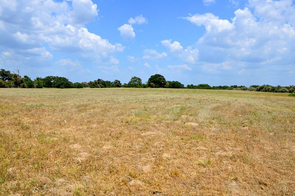 TBD 119 Fm 1227, Navasota, Texas image 21