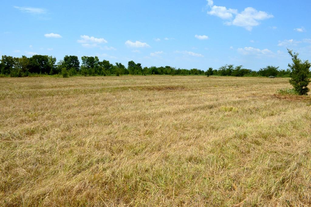 TBD 119 Fm 1227, Navasota, Texas image 12