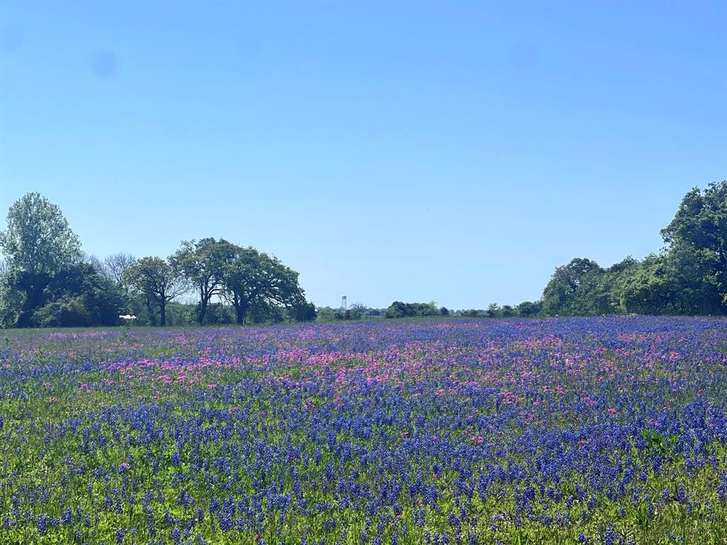 TBD 119 Fm 1227, Navasota, Texas image 1
