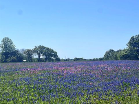 TBD 119 Fm 1227 Navasota TX 77868