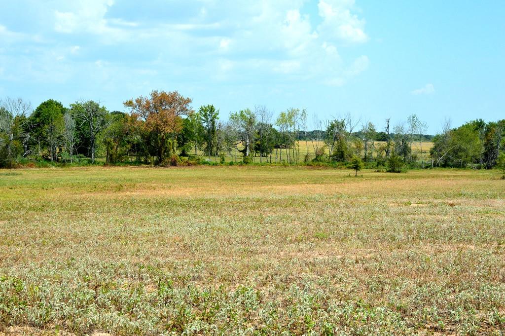 TBD 119 Fm 1227, Navasota, Texas image 17