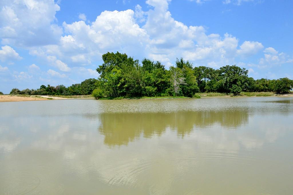TBD 119 Fm 1227, Navasota, Texas image 6