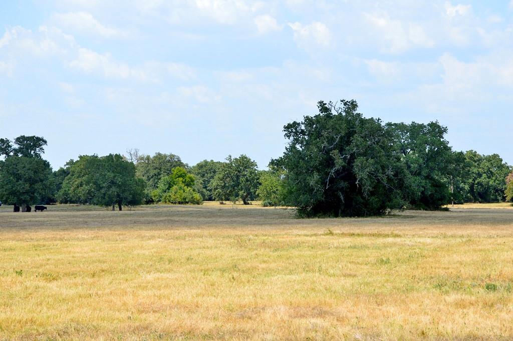 TBD 119 Fm 1227, Navasota, Texas image 25
