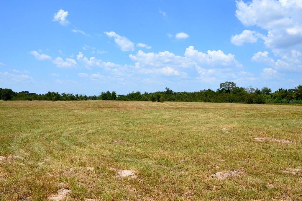 TBD 119 Fm 1227, Navasota, Texas image 16