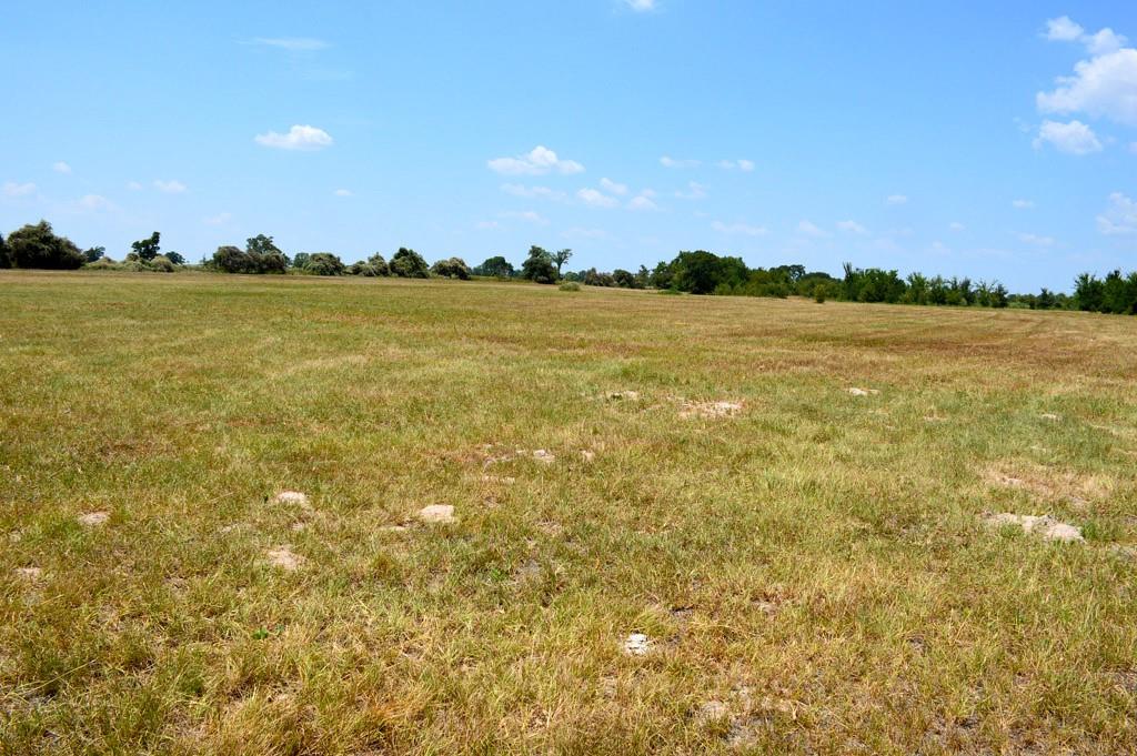 TBD 119 Fm 1227, Navasota, Texas image 9