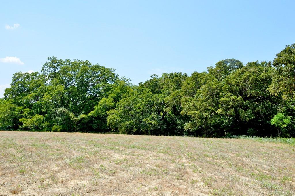 TBD 119 Fm 1227, Navasota, Texas image 7