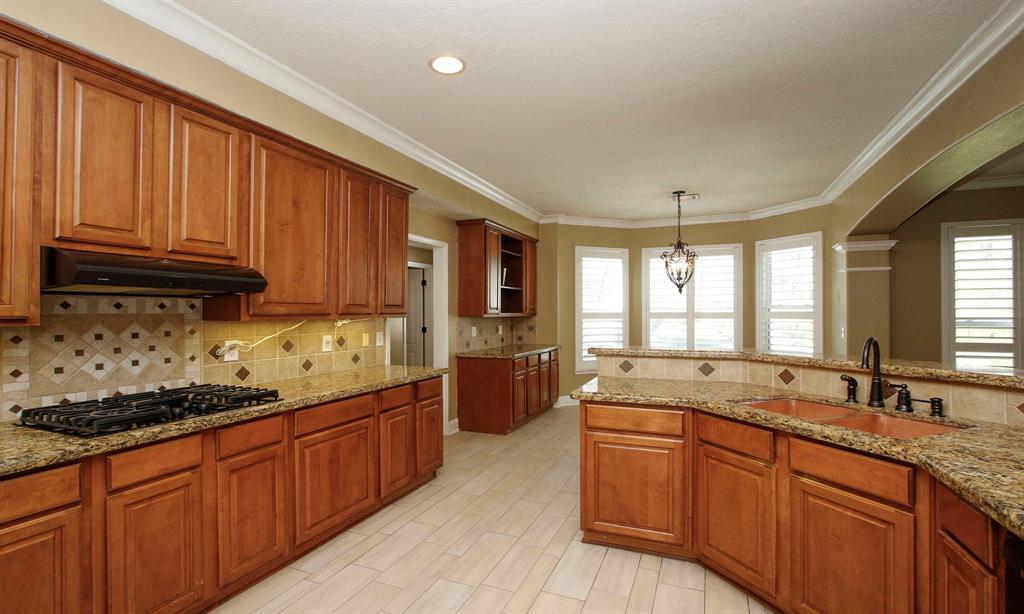 20110 Cherry Oaks Lane, Humble, Texas image 12