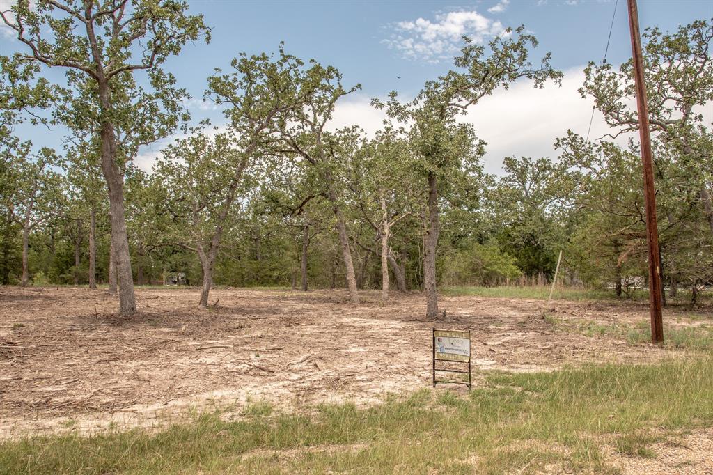 103 Fox Hollow, Somerville, Texas image 8