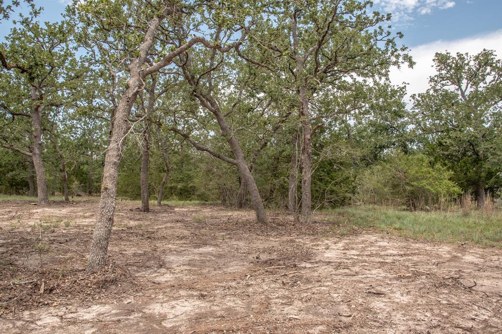 103 Fox Hollow, Somerville, Texas image 5