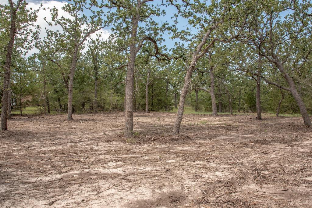 103 Fox Hollow, Somerville, Texas image 6
