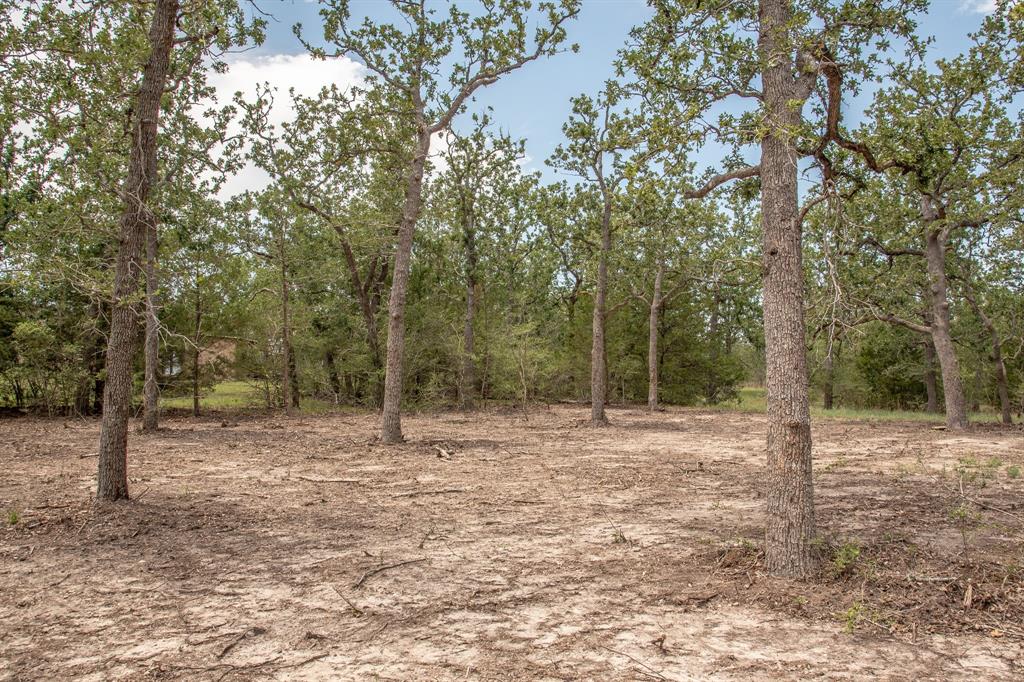 103 Fox Hollow, Somerville, Texas image 4