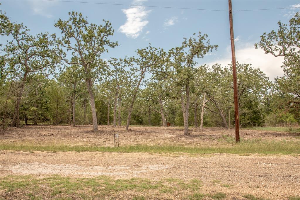 103 Fox Hollow, Somerville, Texas image 3