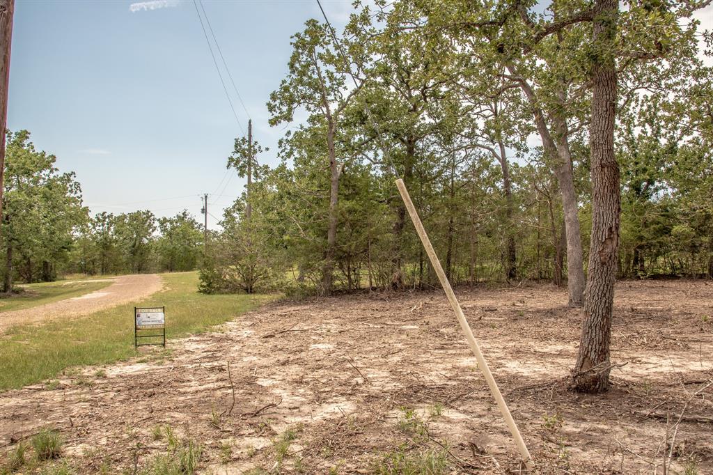 103 Fox Hollow, Somerville, Texas image 7