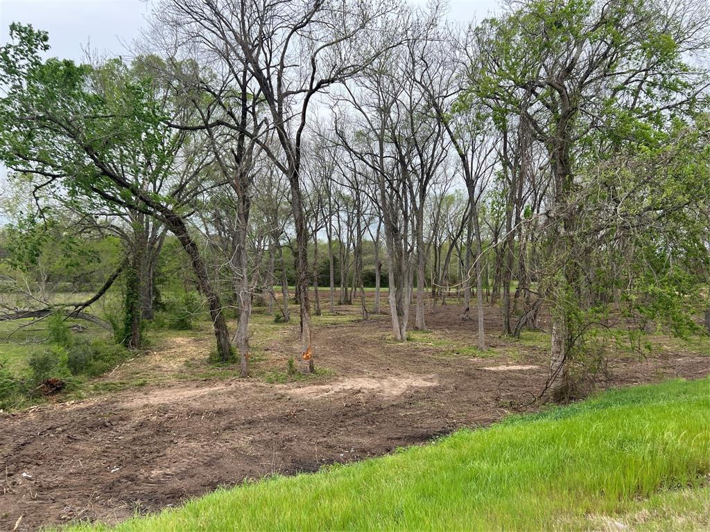 Lot #3 Tx-105, Washington, Texas image 8