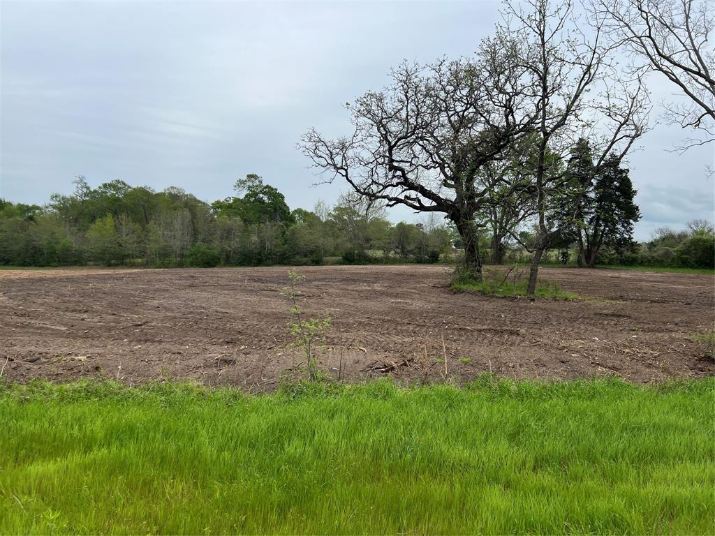 Lot #3 Tx-105, Washington, Texas image 2