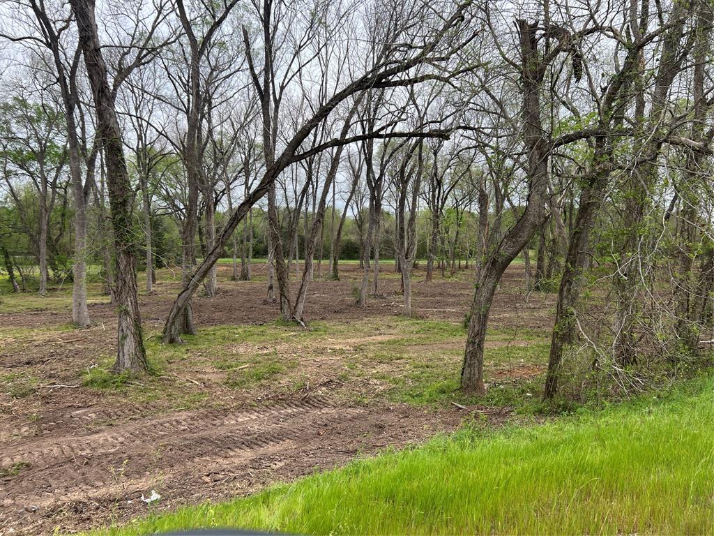 Lot #3 Tx-105, Washington, Texas image 7