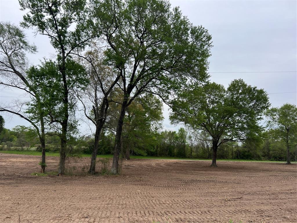 Lot #3 Tx-105, Washington, Texas image 6