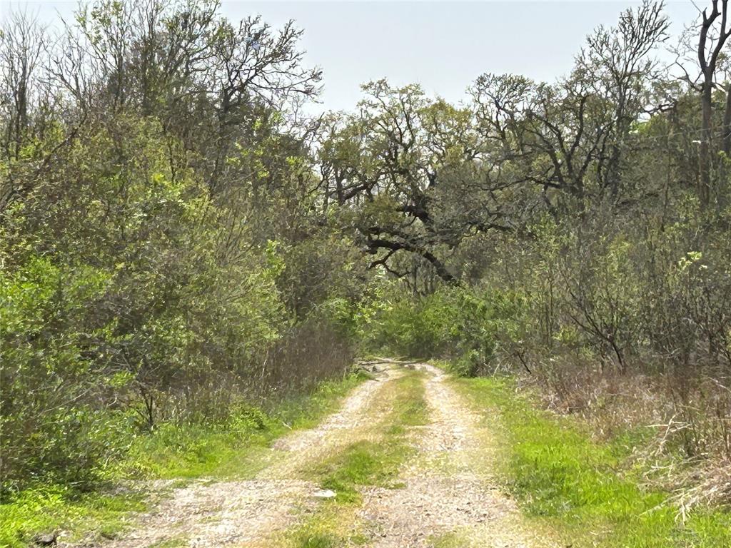 County Road 282, Bay City, Texas image 2