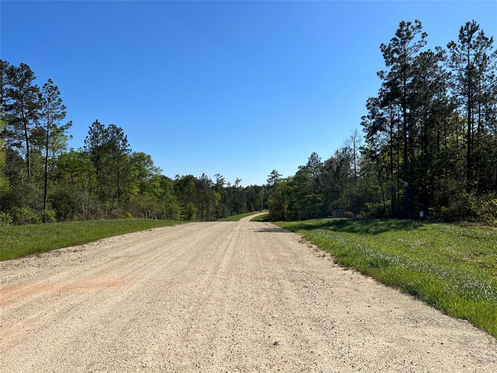 335 Exploration Road, New Waverly, Texas image 3