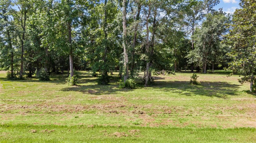 446 Pinchback Drive, Anahuac, Texas image 4