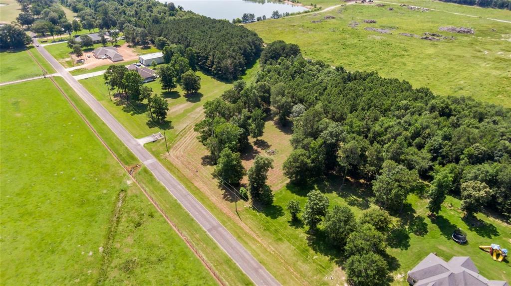 446 Pinchback Drive, Anahuac, Texas image 8