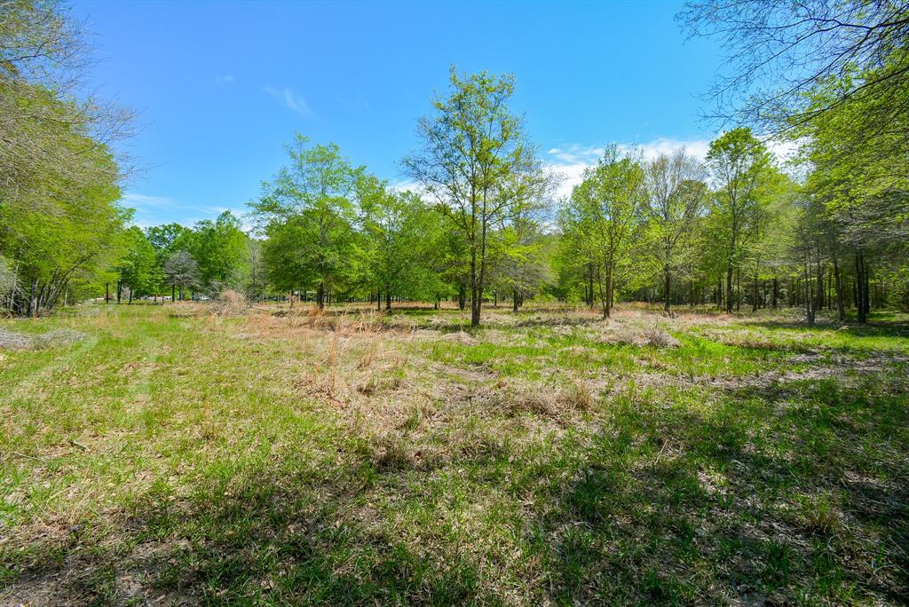 TBD Rainbow Lane, New Caney, Texas image 12
