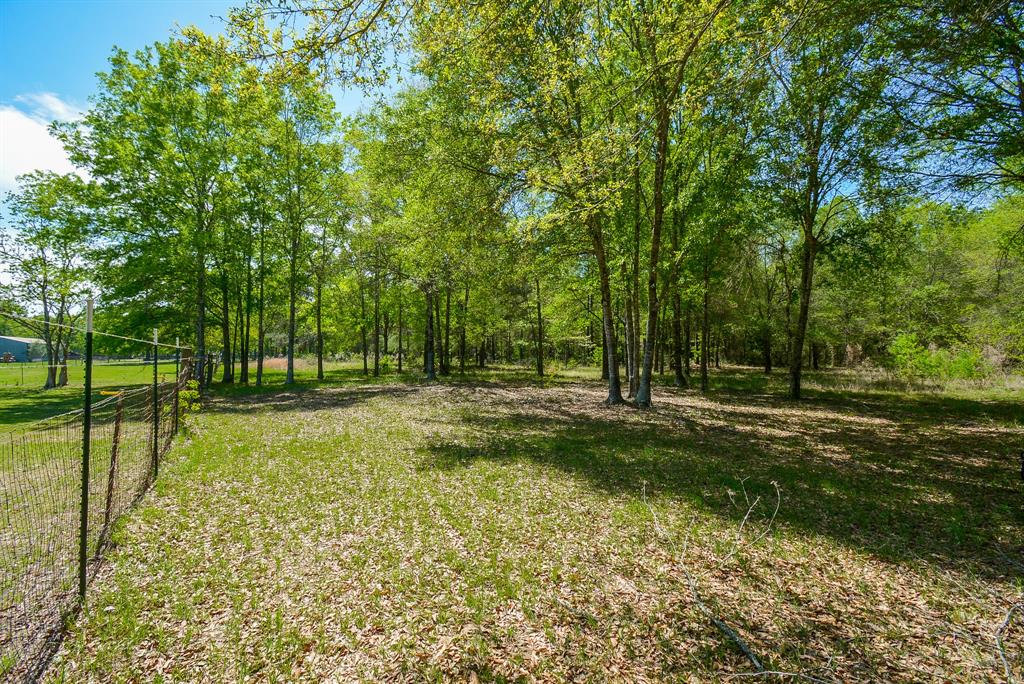 TBD Rainbow Lane, New Caney, Texas image 8