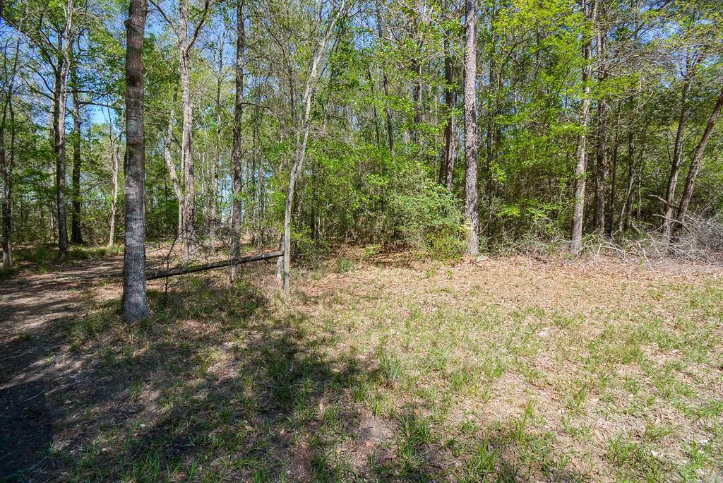 TBD Rainbow Lane, New Caney, Texas image 13