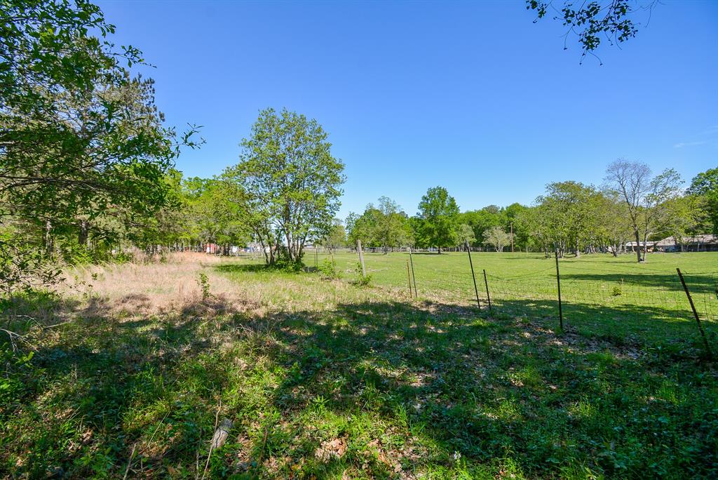 TBD Rainbow Lane, New Caney, Texas image 9