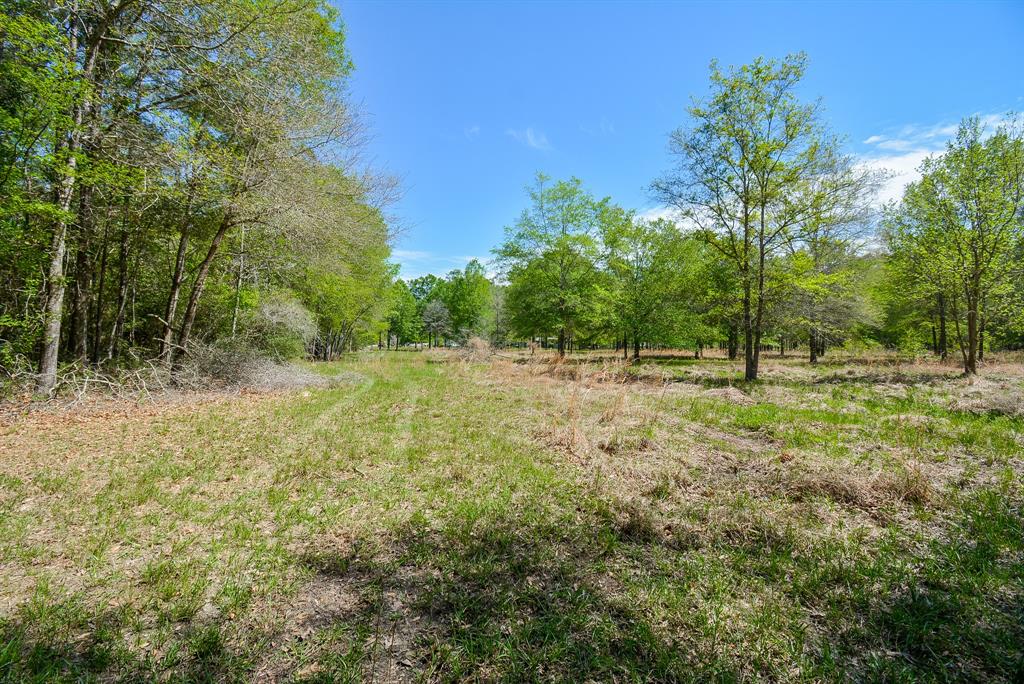 TBD Rainbow Lane, New Caney, Texas image 11