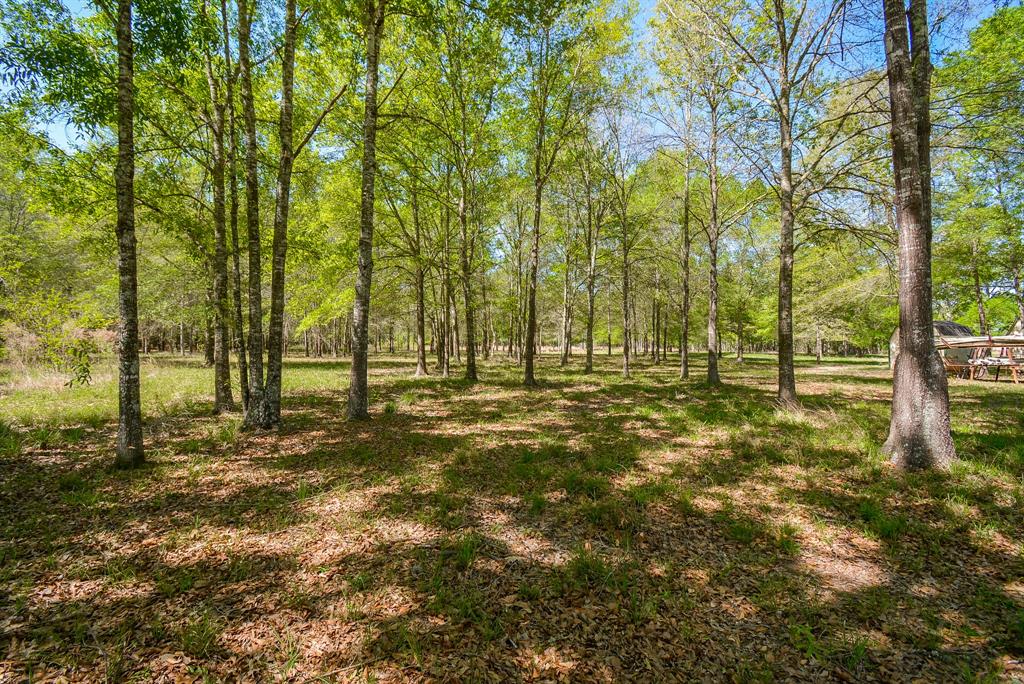 TBD Rainbow Lane, New Caney, Texas image 7