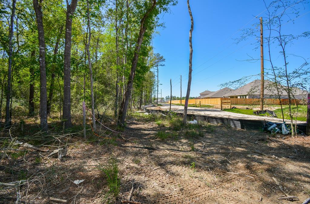 TBD Rainbow Lane, New Caney, Texas image 16