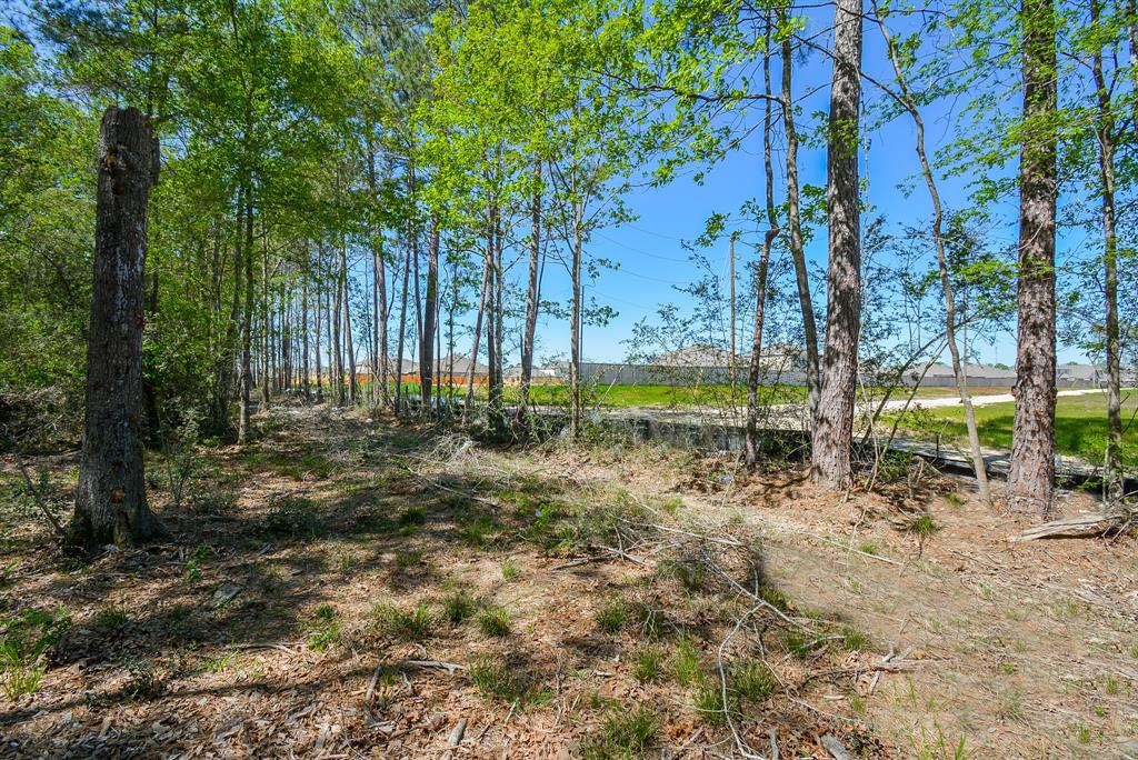 TBD Rainbow Lane, New Caney, Texas image 14