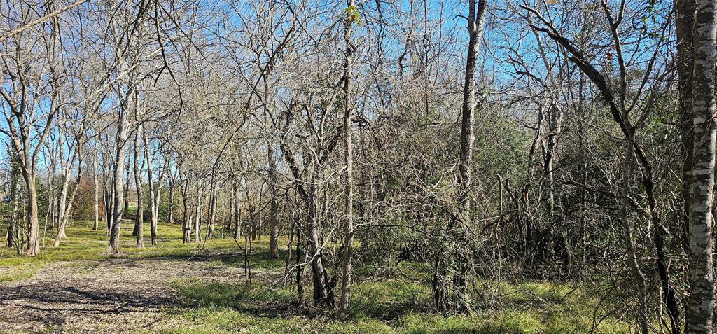 Winding Branch, Chappell Hill, Texas image 10