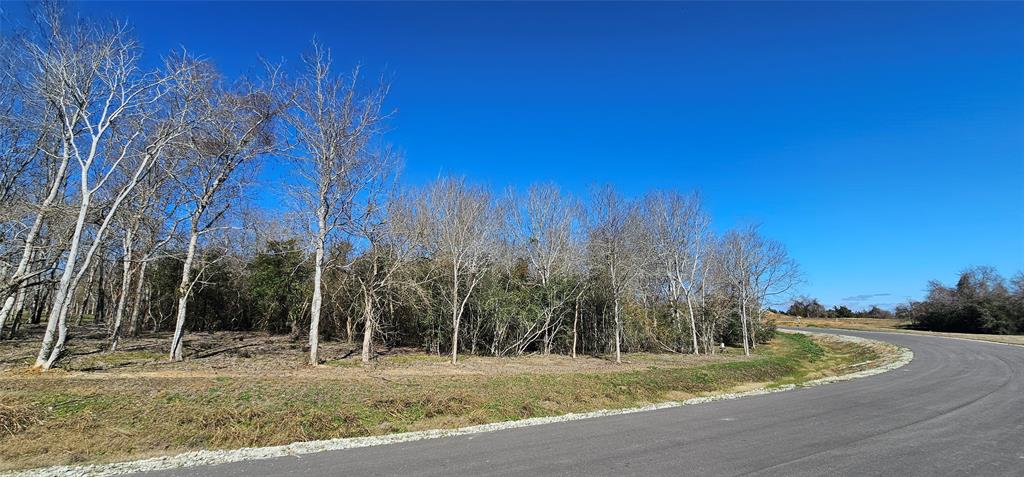 Winding Branch, Chappell Hill, Texas image 12