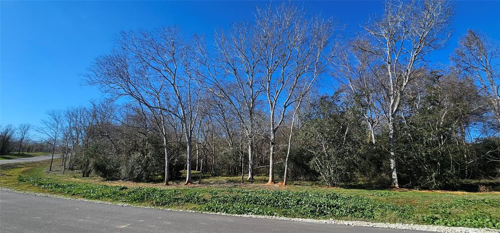 Winding Branch, Chappell Hill, Texas image 1