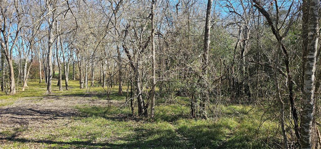 Winding Branch, Chappell Hill, Texas image 2