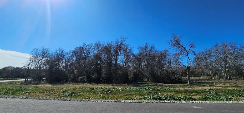 Winding Branch, Chappell Hill, Texas image 3