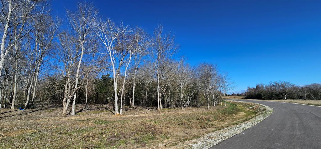 Winding Branch, Chappell Hill, Texas image 7