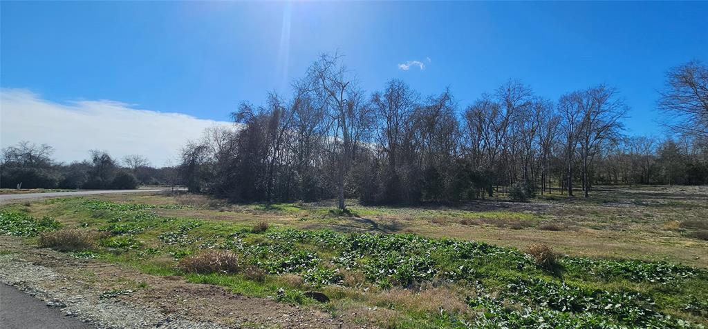 Winding Branch, Chappell Hill, Texas image 4