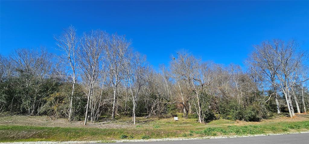 Winding Branch, Chappell Hill, Texas image 11