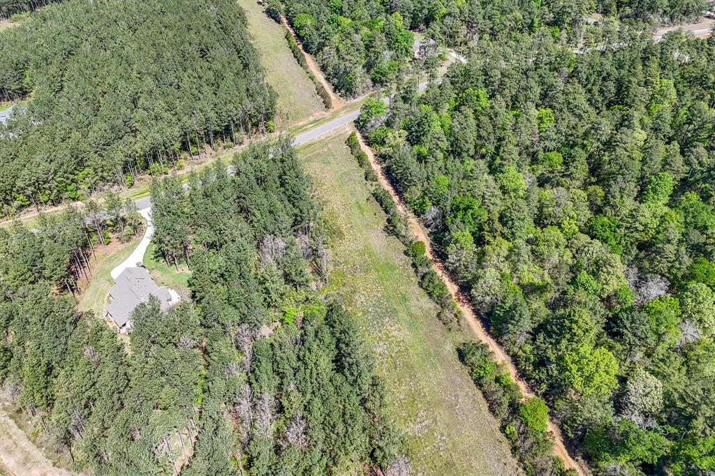 15866 Four Hills Road, Willis, Texas image 8