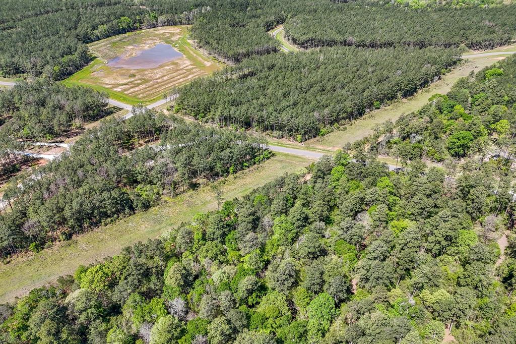 15866 Four Hills Road, Willis, Texas image 10