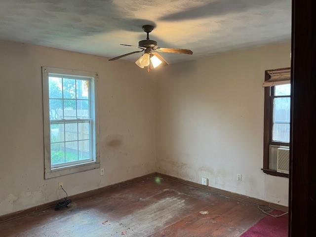 2438 Calvin Street, Houston, Texas image 10