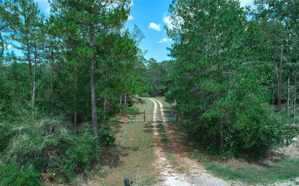 11029 Crockett Martin Road, Conroe, Texas image 1