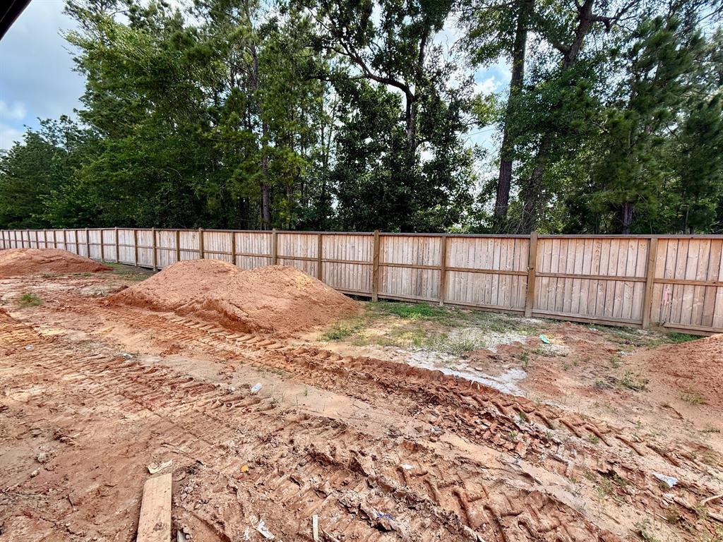206 Springfield Terrace Court, Conroe, Texas image 4